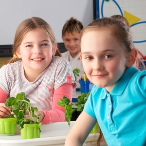 Educación Ecológica y Sustentable